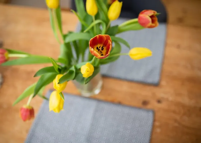 Backbord アパート *